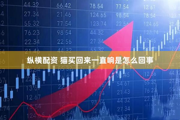 纵横配资 猫买回来一直响是怎么回事