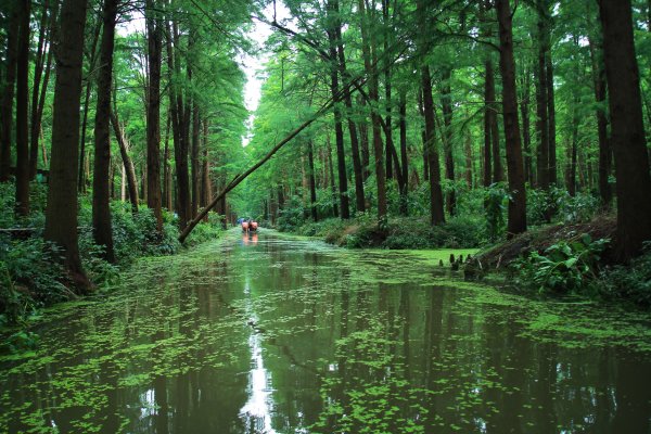 精选期货配资 泰州景点排行榜，江苏泰州必去的10个地方，全部去过才算真正玩转泰州~