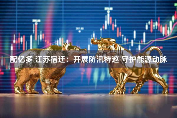 配亿多 江苏宿迁：开展防汛特巡 守护能源动脉