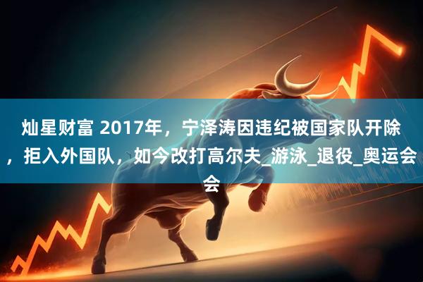 灿星财富 2017年，宁泽涛因违纪被国家队开除，拒入外国队，如今改打高尔夫_游泳_退役_奥运会